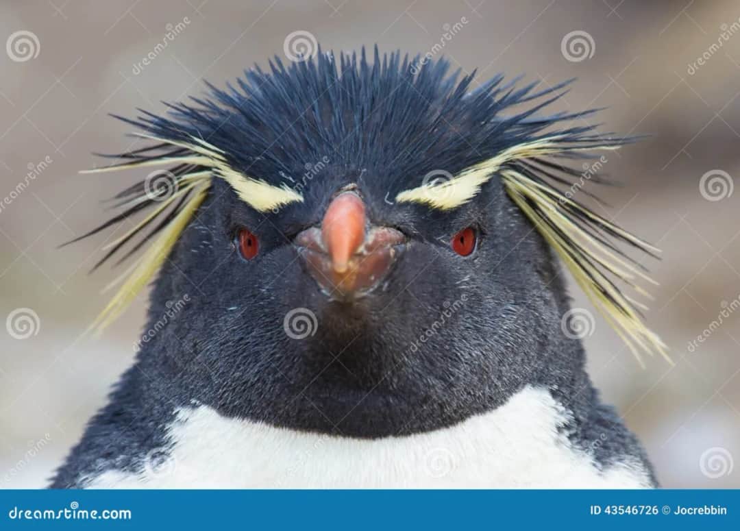 Pingwin: Spojrzenie Krytyczne na kluczowe wątki i postacie serialu